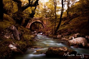 Η φωτογραγία του Νίκου Λαγού, που κέρδισε το πρώτο βραβείο.