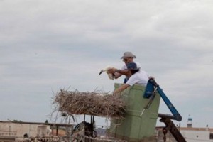 Φορέας Διαχείρισης Λιμνοθάλασσας Μεσολογγίου (1)