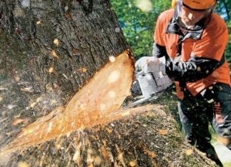 Σημαντικές πληροφορίες για να συντηρείτε σωστά το αλυσοπρίονό σας