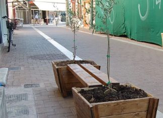 Τοποθέτηση ξύλινων πλαισίων φύτευσης στο Μεσολόγγι