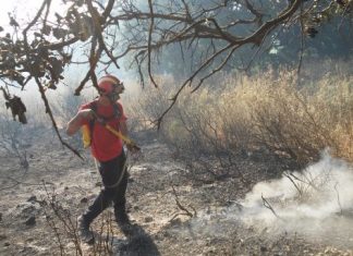 Στην μάχη με τις φλόγες η Ε.Ο.Ε.Δ. στις Οινιάδες