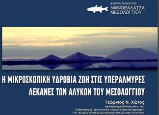 Η μικροσκοπική υδρόβια ζωή στις υπεράλμυρες λεκάνες των αλυκών του Μεσολογγίου