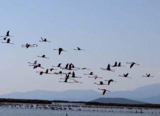 Αμβρακικός: Το ζεστό φιορδ της Ελλάδας