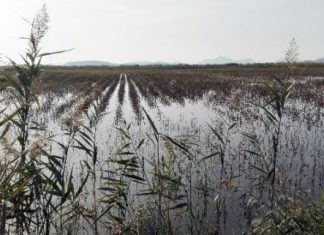 Στην Αιτωλοακαρνανία ξεπεράσαμε με την… όπισθεν την πολιτική της γαλότσας