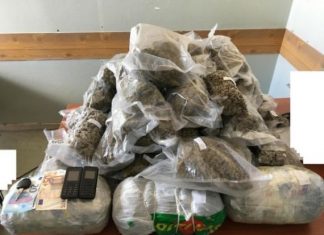 Μεσολόγγι: 52χρονος μετέφερε 33,5 κιλά χασίς!