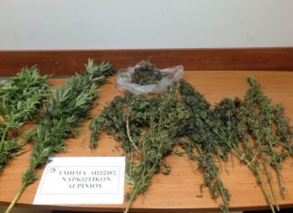Συνελήφθη 48χρονος στο Αγρίνιο για καλλιέργεια και κατοχή ναρκωτικών