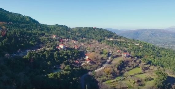 Î‘Ï€Î¿Ï„Î­Î»ÎµÏƒÎ¼Î± ÎµÎ¹ÎºÏŒÎ½Î±Ï‚ Î³Î¹Î± Ï‡Î¿Ï…Î½Î· Î±Î¹Ï„Ï‰Î»Î¿Î±ÎºÎ±ÏÎ½Î±Î½Î¹Î±Ï‚