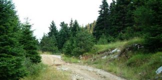 Αμβρακιά – Αργυρό Πηγάδι : Παρέμβαση Μητσοτάκη ζητούν οι κάτοικοι για το δρόμο