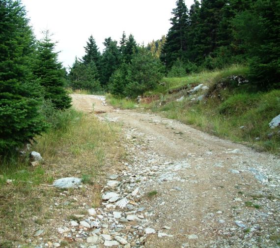 Εικόνα 1 – Τμήμα χωματόδρομου στο ορεινό Θέρμο