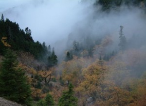 Φθινόπωρο στις πηγές του Κοσινορέματος Γιδομανδρίτη: Τοπίο στην ομίχλη που προσομοιάζει με τις προοπτικές επίλυσης του προβλήματος των οδικών συνδέσεων του ορεινού Θέρμου.