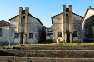 Καπνικός Σταθμός Έρευνας φωτό : Σπυριδούλα Πυρπύλη