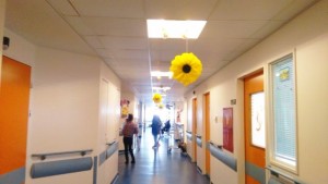 εξωραϊσμός (2)