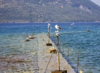 Αμετάκλητα κατεδαφιστέο το βουλιαγμένο λιμάνι του Μύτικα