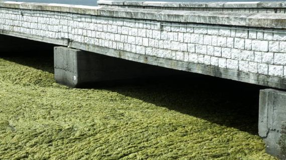 λιμνοθάλασσα 2