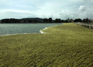 Σε κίνδυνο οι προστατευμένοι υγρότοποι της Αιτωλοακαρνανίας