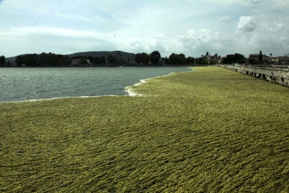 λιμνοθάλασσα