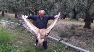 νεκρο ορνιο κλεισουρα 3