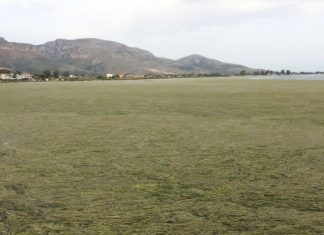 Κραυγή αγωνίας από τους αλιείς του Αιτωλικού για τη Λιμνοθάλασσα