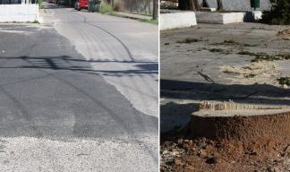 Αντικατάσταση δένδρων με… άσφαλτο στον Άγιο Ιωάννη Ρηγανά καταγγέλλει ο Δ. Τραπεζιώτης