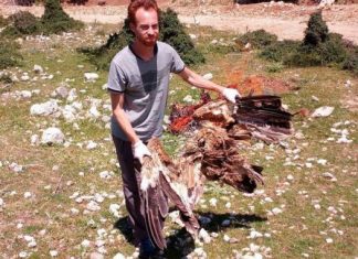 Πλήγμα τα νεκρά όρνια – Δεν υπάρχουν περιθώρια για άλλες απώλειες, λέει ο Φορέας Διαχείρισης