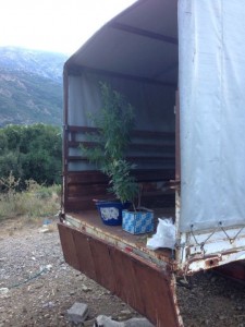 ΤΜΗΜΑ ΔΙΩΞΗΣ ΝΑΡΚΩΤΙΚΩΝ ΥΠΟΔ. ΑΣΦΑΛ. ΑΓΡΙΝΙΟΥ