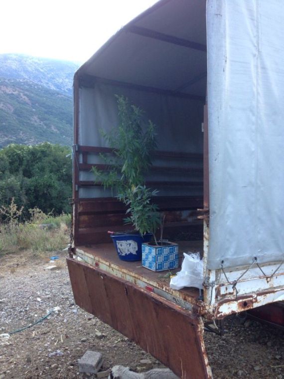 ΤΜΗΜΑ ΔΙΩΞΗΣ ΝΑΡΚΩΤΙΚΩΝ ΥΠΟΔ. ΑΣΦΑΛ. ΑΓΡΙΝΙΟΥ