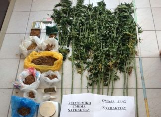 Συνελήφθη 50 χασισοκαλλιεργητής στην ορεινή Ναυπακτία
