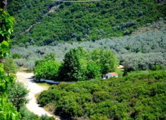 Πανηγυρίζει το Εξωκκλήσι της Αγίας Παρασκευής στη Σπολάιτα Αγρινίου.