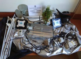 30χρονος στο Αγρίνιο καλλιεργούσε χασίς στην αυλή το σπιτιού του