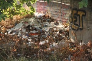 σκουπιδότοπος (2)