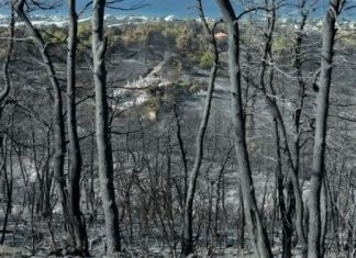 Μηπώς τελικά δεν μας αξίζει τίποτα περισσότερο από την αντιπαράθεση με φόντο τα καμμένα;