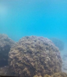 λίθινες μπάλες κανονιών