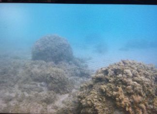 Δεκάδες λίθινες μπάλες λιθοβόλων κανονιών εντοπίστηκαν στο Γρίμποβο