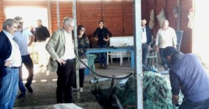 Τσιρώνης (1)