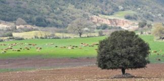 Eκπαίδευση νέων κτηνοτρόφων στο Αγρίνιο με το πρόγραμμα «Νέα Γεωργία για τη Νέα Γενιά»