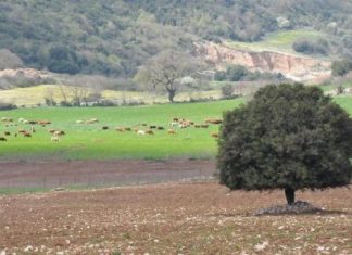 Εκτός βιολογικής κτηνοτροφίας περίπου 300 παραγωγοί της Αιτωλοακαρνανίας