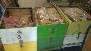 λαθραίος καπνός