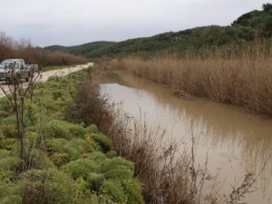 αποστραγγιστικοί τάφροι