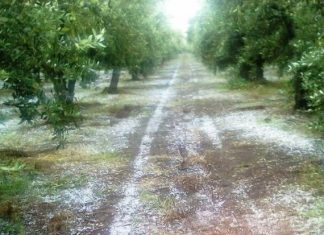 Σοβαρές ζημιές από το χαλάζι στην περιοχή Οινιαδών και Αιτωλικού