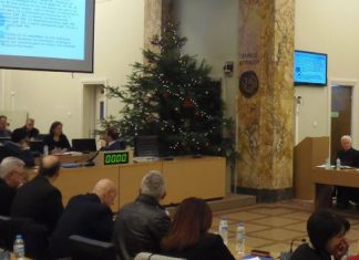 Αυτό το δένδρο δεν πρέπει να στολίστηκε με έρανο