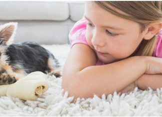 Ταπητοκαθαριστήρια Expresso – Καθαρά, γρήγορα, στις καλύτερες τιμές της αγοράς