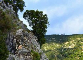 Ο τοίχος του αυλακιού – δρόμου, ένα έργο τέχνης στο ορεινό Θέρμο