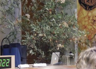 Κι όμως τη “στολίσαμε” την “Ελαία”