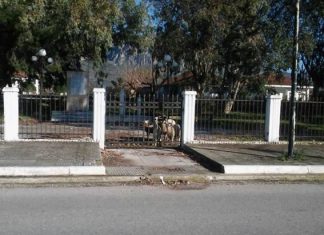 Μετέτρεψαν σε…μαντρί το μνημείο της Εθνικής Αντίστασης στο Αιτωλικό