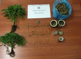 Συνελήφθη 49χρονος στην Κατοχή για καλλιέργεια και κατοχή ναρκωτικών
