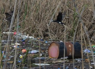 Υπομνήματα σε Δασαρχείο και Φορέα για την υποβάθμιση της Λιμνοθάλασσας Μεσολογγίου