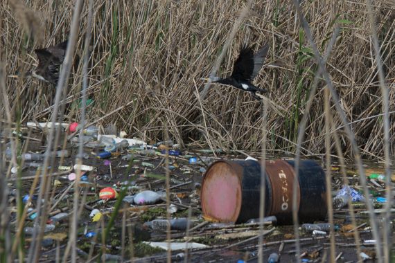 λιμνοθάλασσα
