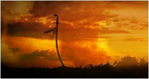 φωτό σιάμου