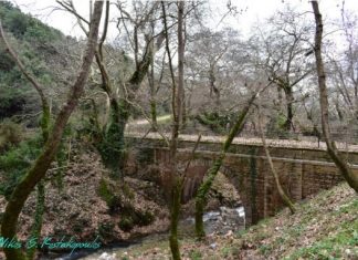 Τα παραγκωνισμένα πετρογέφυρα της Μυρτιάς