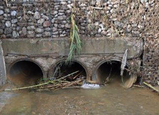 Με “αρλούμπες” και “Τσοχατζόπουλο” η κόντρα Παπαναστασίου – Μοσχολιού για τα γκιούνια της ΕΛΕΠΑΠ